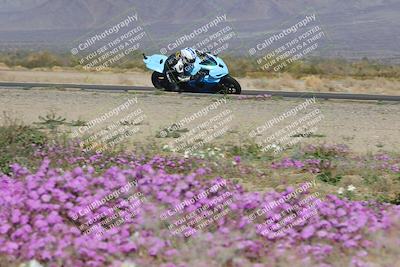 media/Feb-04-2023-SoCal Trackdays (Sat) [[8a776bf2c3]]/Turn 15 Inside Blooming (1050am)/